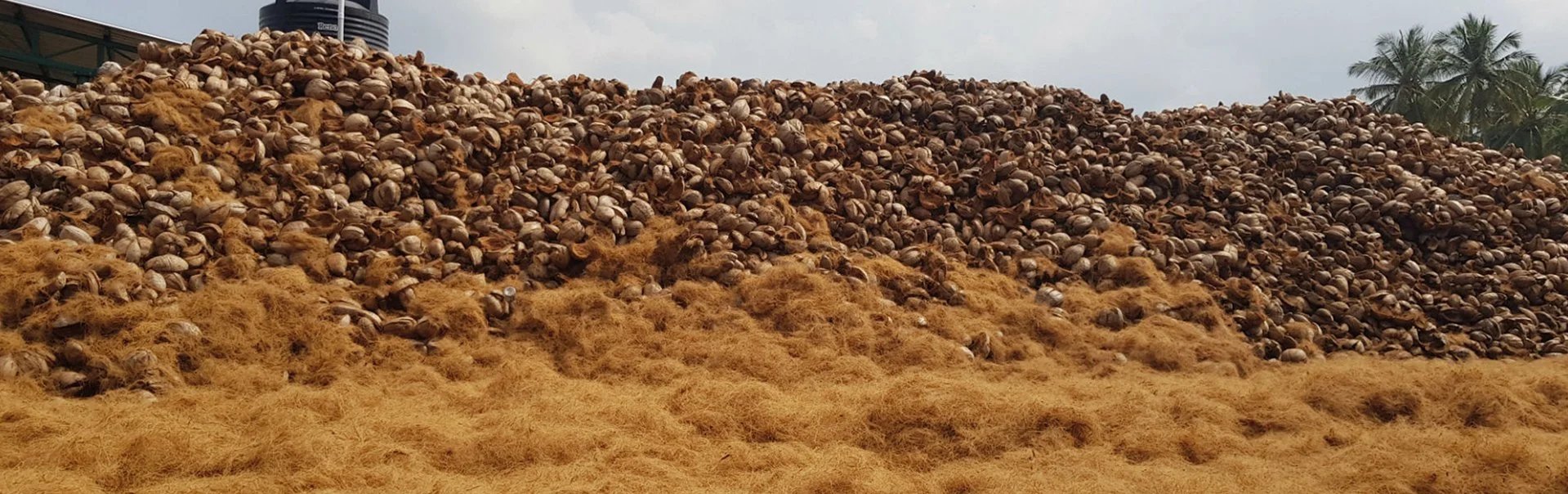 Cocopeat