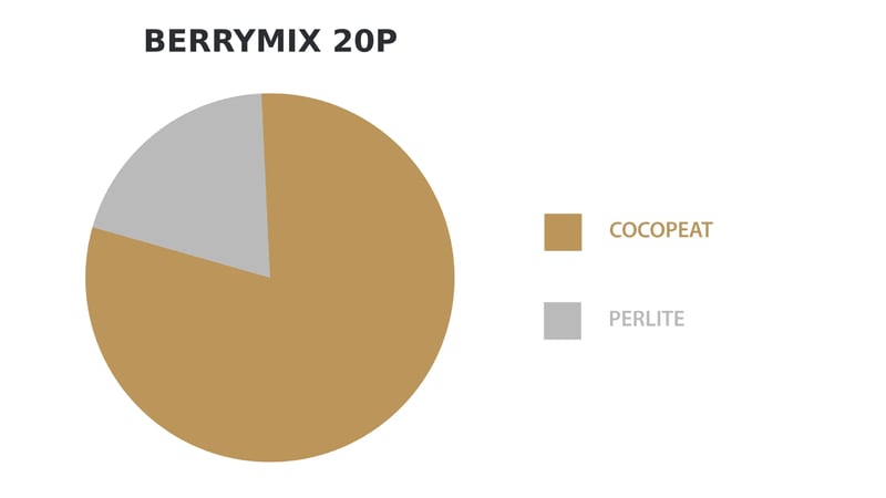 ÇİLEK ve BERRY SUBSTRAT (GRUP MEYVELER)