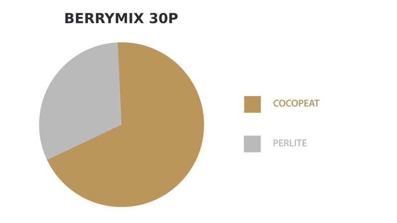 ÇİLEK ve BERRY SUBSTRAT (GRUP MEYVELER)