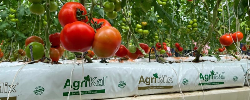GROWBAG