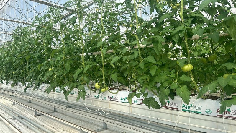 GROWBAG